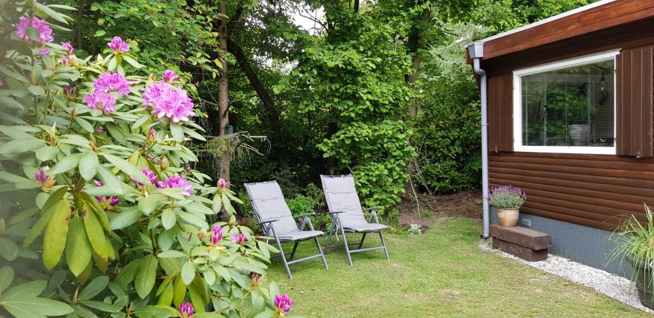 Op De Veluwe Chalet